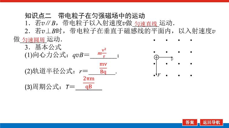 2023新教材高考物理总复习专用课件--10.2磁场对运动电荷的作用第6页