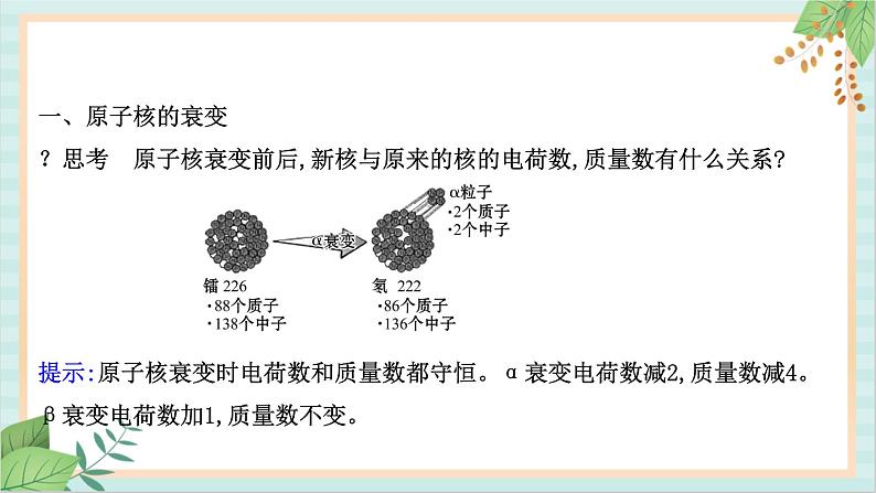 鲁科版高中物理选修35.2 原子核衰变及半衰期课件02