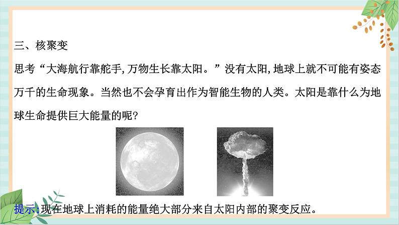 鲁科版高中物理选修35.4-5.5 核裂变和核聚变　核能的利用与环境保护课件第4页