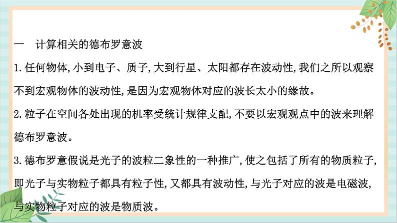 鲁科版高中物理选修36.2 实物粒子的波粒二象性课件第6页