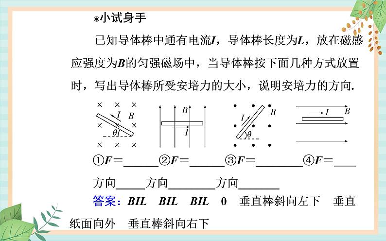 粤科版高中物理选修2第一节 安培力课件第5页