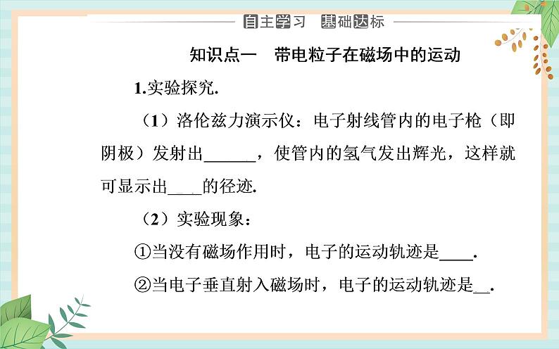 粤科版高中物理选修2第四节 洛伦兹力与现代技术课件03