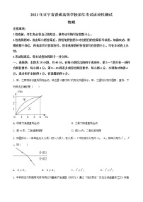 2021年1月辽宁省普通高等学校招生考试适应性测试物理试题