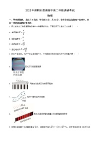 广东省深圳市2021-2022学年高二下学期期末考试 物理试题及答案