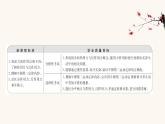 魯科版高中物理必修第一冊(cè)第5章牛頓運(yùn)動(dòng)定律4牛頓第三運(yùn)動(dòng)定律課件
