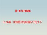 人教版（2019）高中物理选择性必修第三册_实验：用油膜法估测油酸分子的大小_课件4