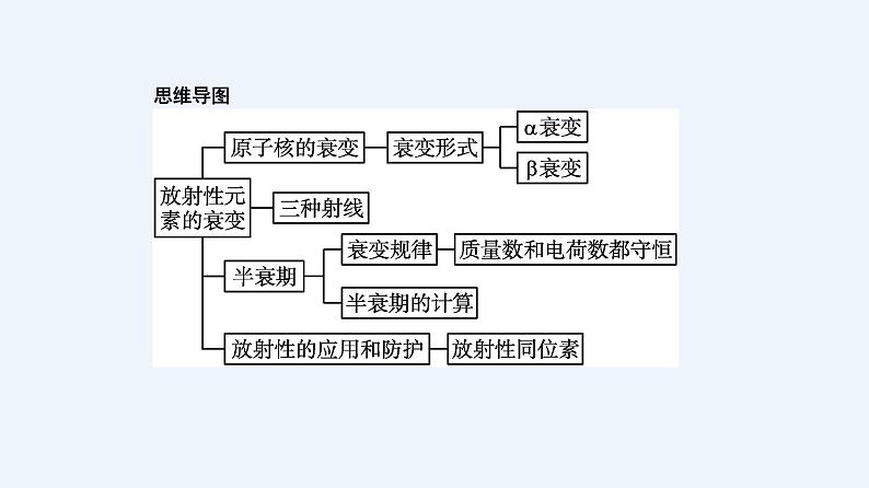 人教版（2019）高中物理选择性必修第三册_放射性元素的衰变 课件2第3页