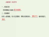 人教版高中物理选择性必修第一册第2章机械振动5实验：用单摆测量重力加速度课件