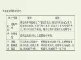 人教版高中物理选择性必修第一册第1章动量守恒定律阶段提升课课件