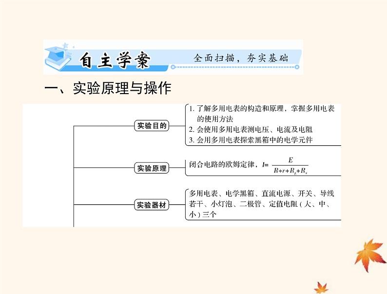 2023版高考物理一轮总复习第九章实验十练习使用多用电表课件第2页