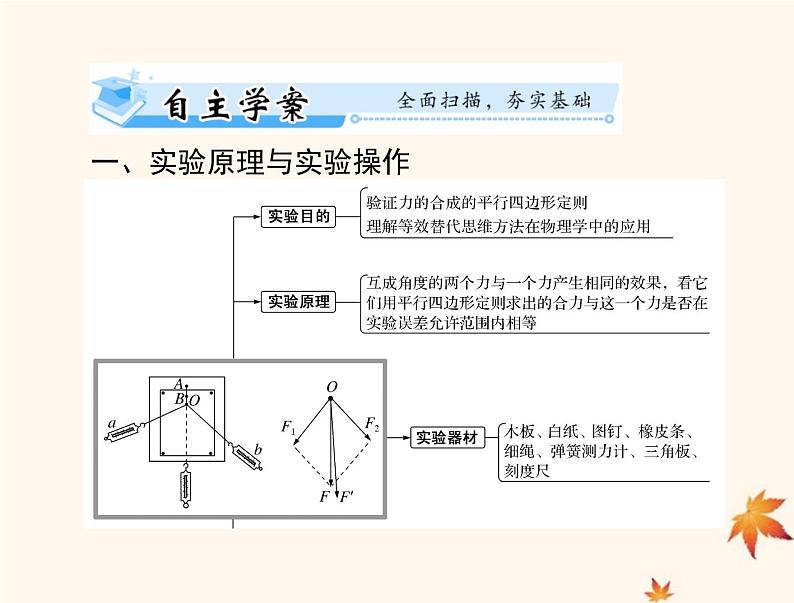 2023版高考物理一轮总复习第二章实验三验证力的平行四边形定则课件第2页