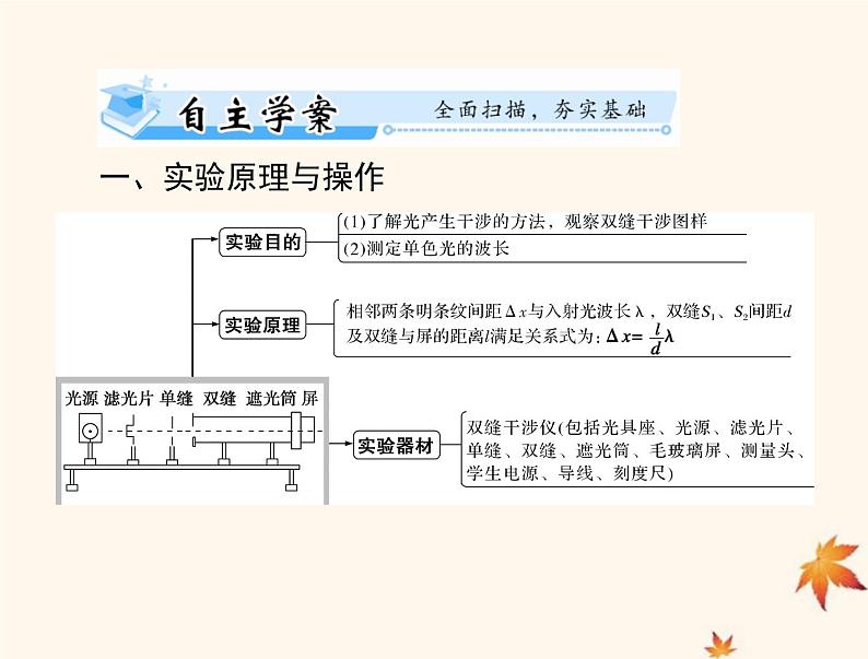 2023版高考物理一轮总复习第十五章实验十三用双缝干涉测量光的波长课件02