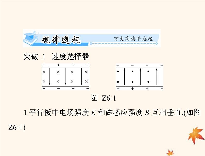 2023版高考物理一轮总复习第十章专题六带电粒子在复合场中运动的科技应用课件02