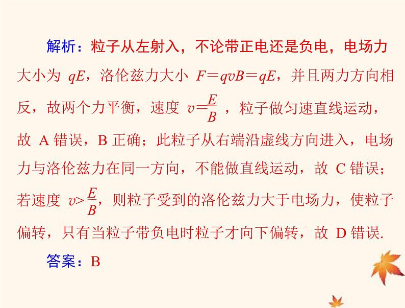 2023版高考物理一轮总复习第十章专题六带电粒子在复合场中运动的科技应用课件05