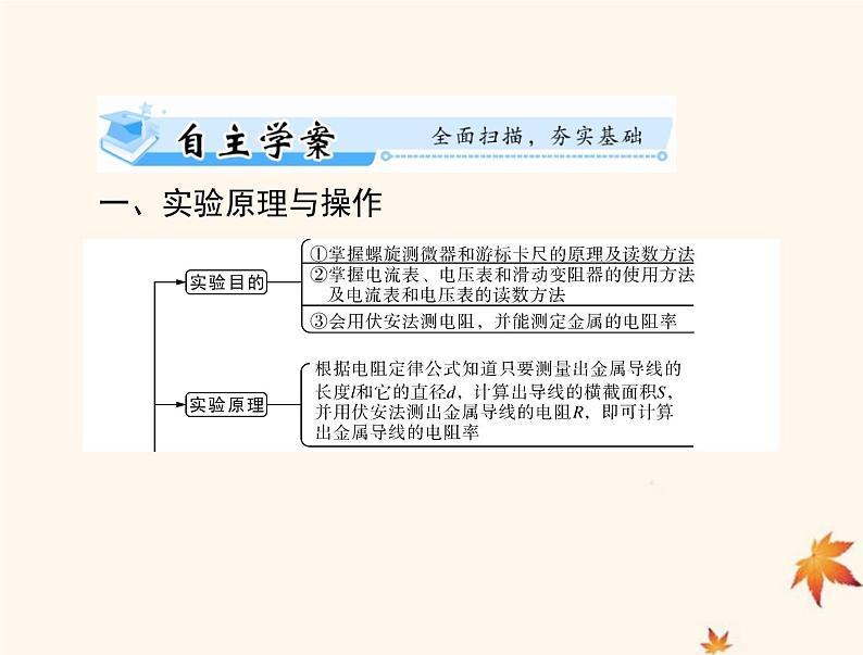 2023版高考物理一轮总复习第九章实验八测量电阻的常用方法课件02