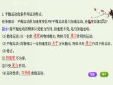 人教版(2019)高中物理必修第二册第5章抛体运动4抛体运动的规律课件