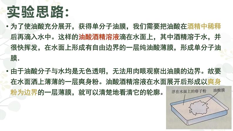 高中物理 选择性必修三 实验：用油膜法估测油酸分子的大小 课件08