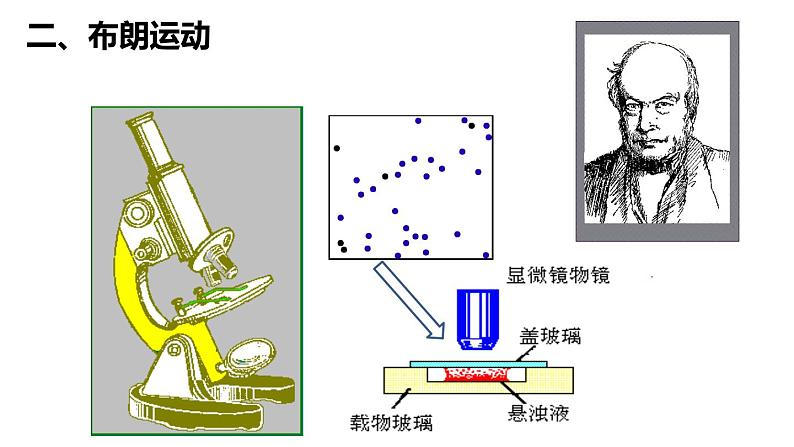 高中物理 选择性必修三 分子动理论的基本内容 分子的热运动 分子热运动 课件第8页