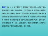 鲁科版高中物理选择性必修2第4章电磁波阶段复习课课件