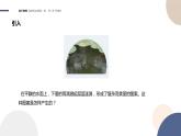 3.4波的干涉+课件  高中物理人教版（2019）选择性必修第一册