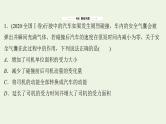 高考物理一轮复习课时作业18动量动量定理课件