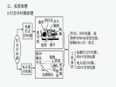 2023高考物理人教A版（2019）大一轮复习--第1章　运动的描述　匀变速直线运动的研究 实验1　探究小车速度随时间变化的规律（课件）