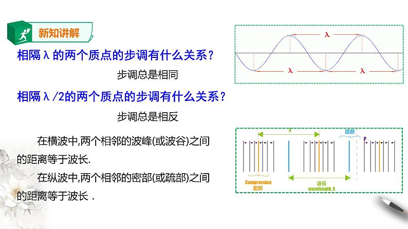 高中人教物理选择性必修一第3章第2节 波的描述课件06