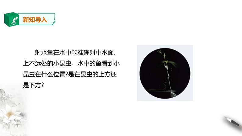 高中人教物理选择性必修一第4章第1节光的折射课件02