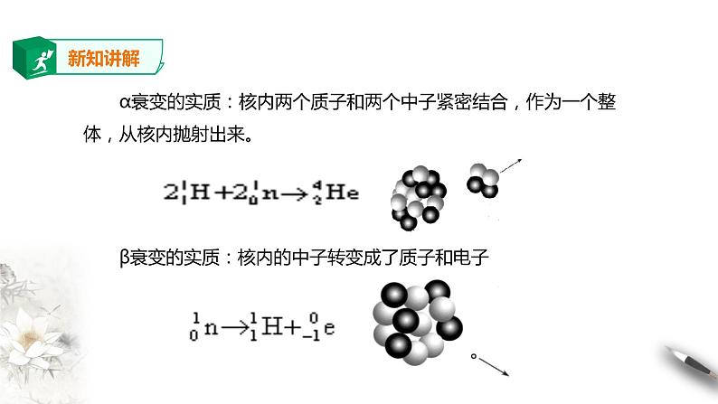 人教版高中物理选择性必修三  第5章第2节放射性元素的衰变课件第6页