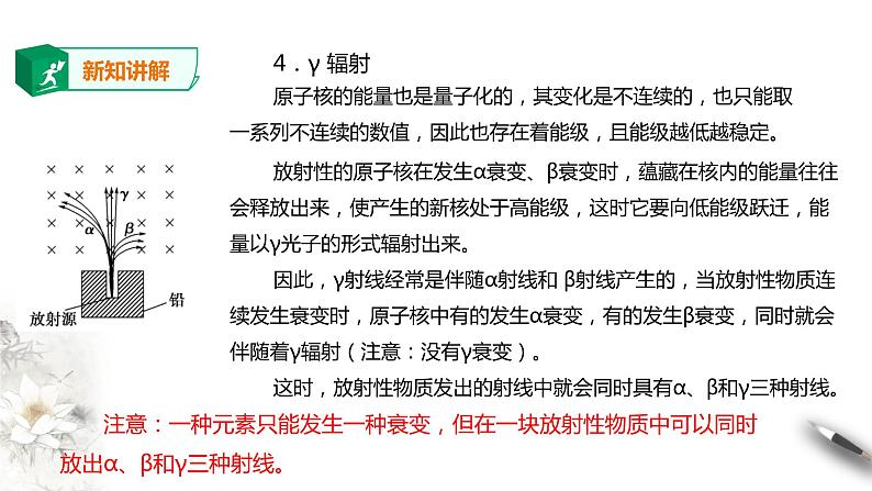 人教版高中物理选择性必修三  第5章第2节放射性元素的衰变课件第7页