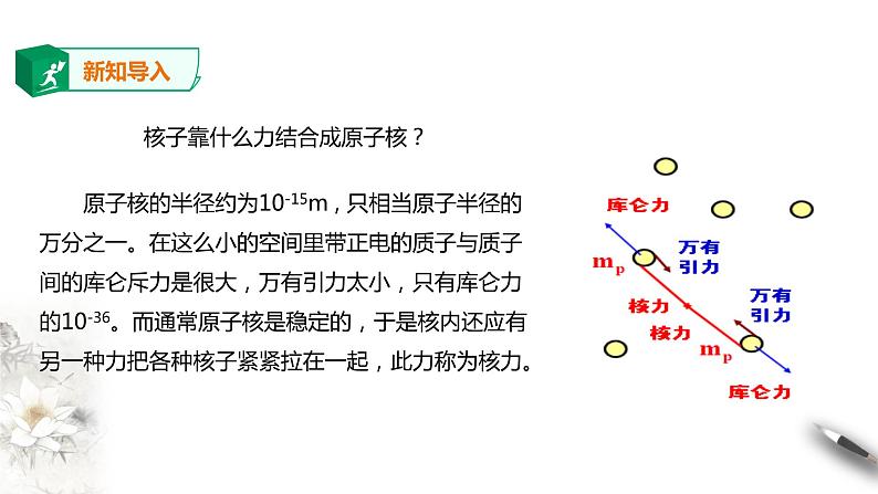 人教版高中物理选择性必修三  第5章第3节核力与结合能课件第3页