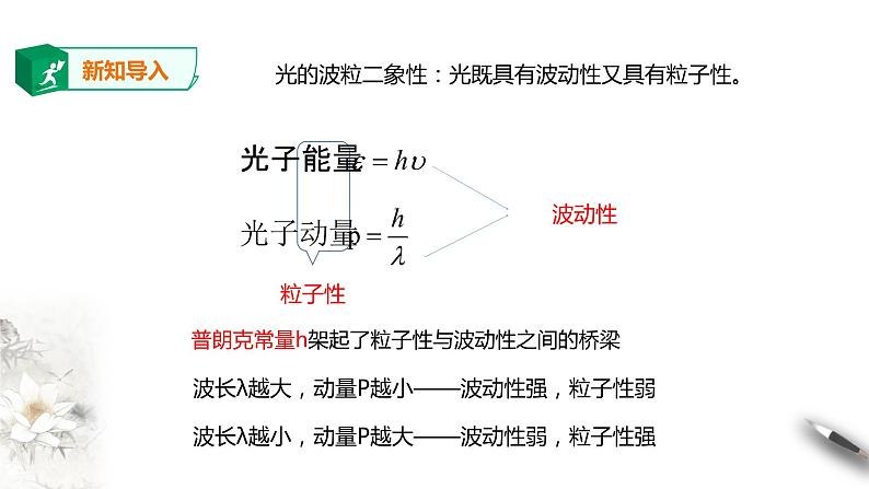 人教版高中物理选择性必修三  第4章第5节粒子的波动性和量子力学的建立课件第4页