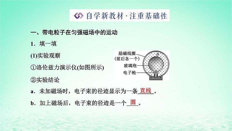 新教材高中物理第一章磁场第四节洛伦兹力与现代技术课件粤教版选择性必修第二册03