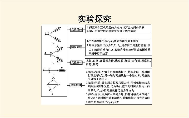 鲁科版高中物理必修第一册第4章第1节第1课时实验：探究两个互成角度的力的合成规律课件第3页