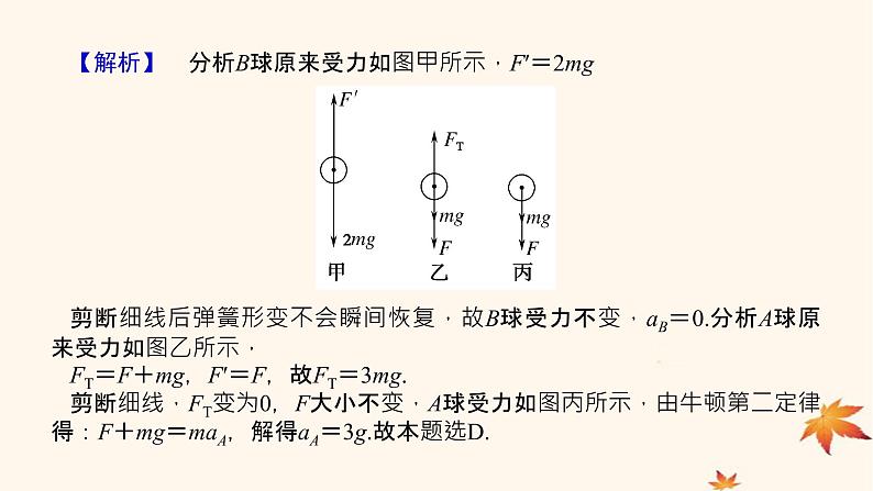 2022_2023学年新教材高中物理第四章运动和力的关系素养提升12牛顿第二定律的瞬时性课件新人教版必修第一册第5页