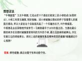 人教版高中物理选择性必修第一册第一章5弹性碰撞和非弹性碰撞课件