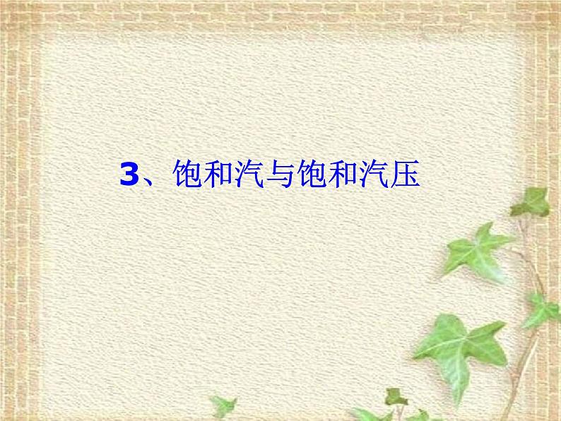 2022-2023年高考物理一轮复习 饱和汽与饱和汽压 课件第1页