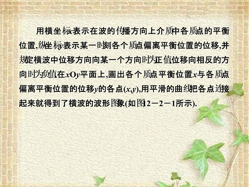 2022-2023年高考物理一轮复习 波的图像 课件第6页