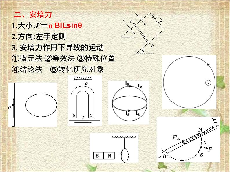 2022-2023年高考物理一轮复习 磁场(2) 课件第3页