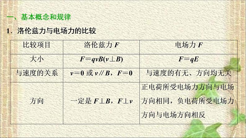 2022-2023年高考物理一轮复习 磁场 课件02