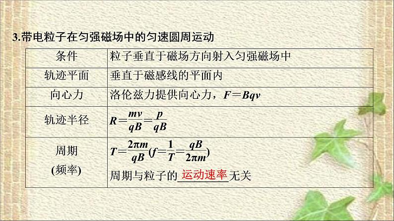 2022-2023年高考物理一轮复习 磁场 课件05