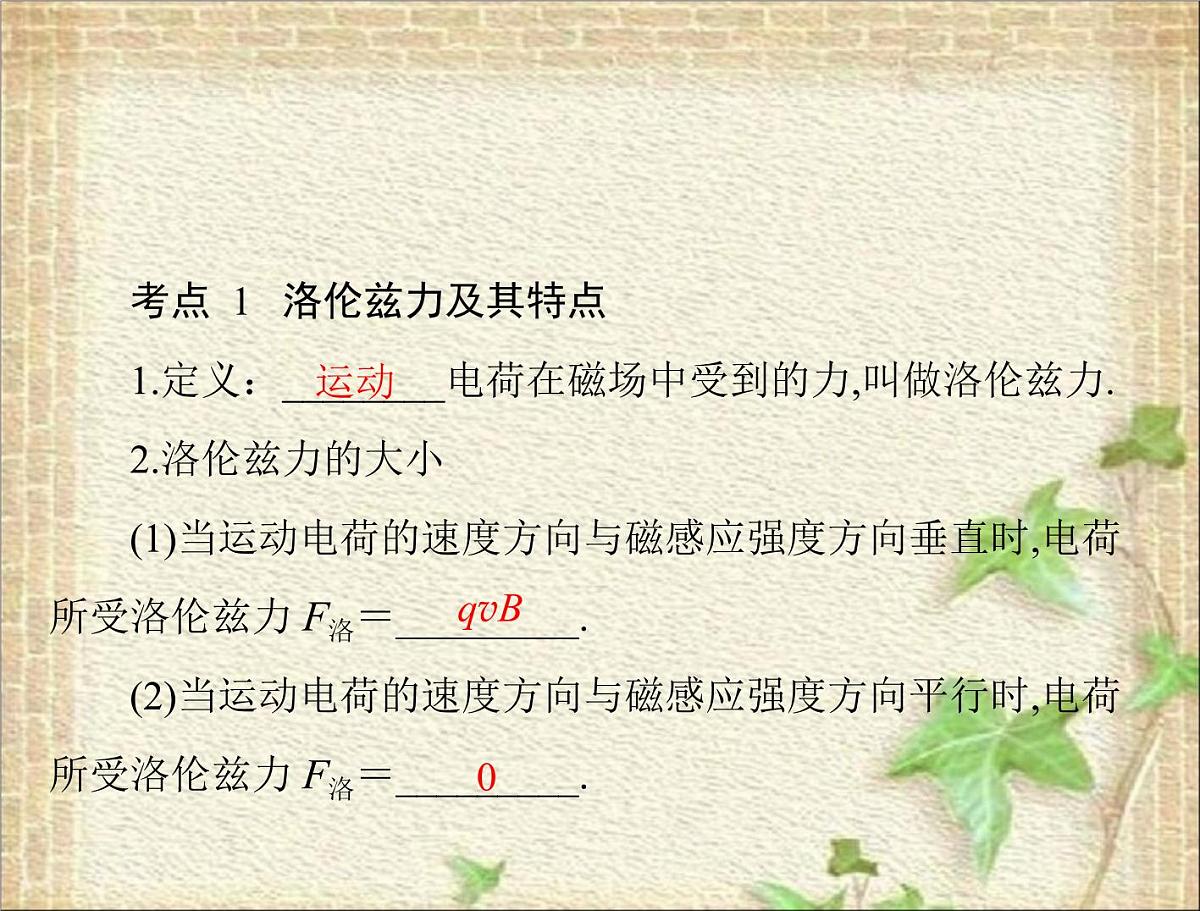 2022-2023年高考物理一轮复习 磁场对运动电荷的作用 课件第1页