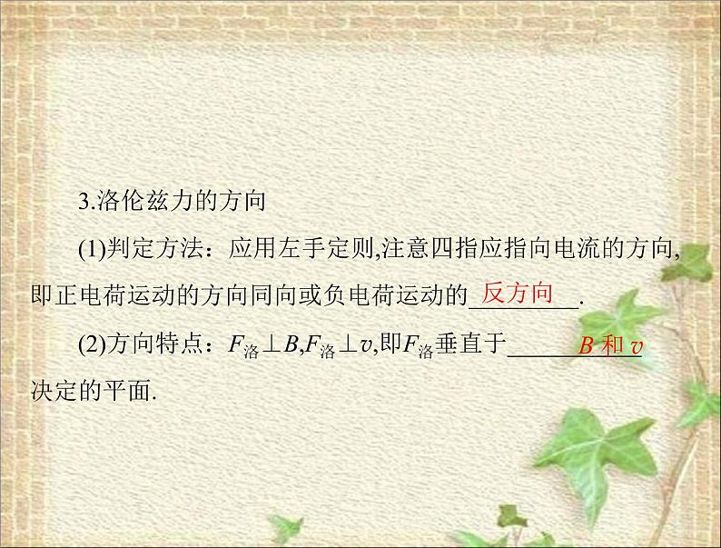2022-2023年高考物理一轮复习 磁场对运动电荷的作用 课件02