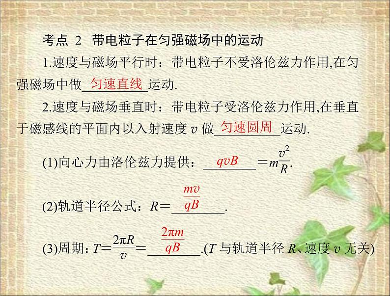 2022-2023年高考物理一轮复习 磁场对运动电荷的作用 课件03