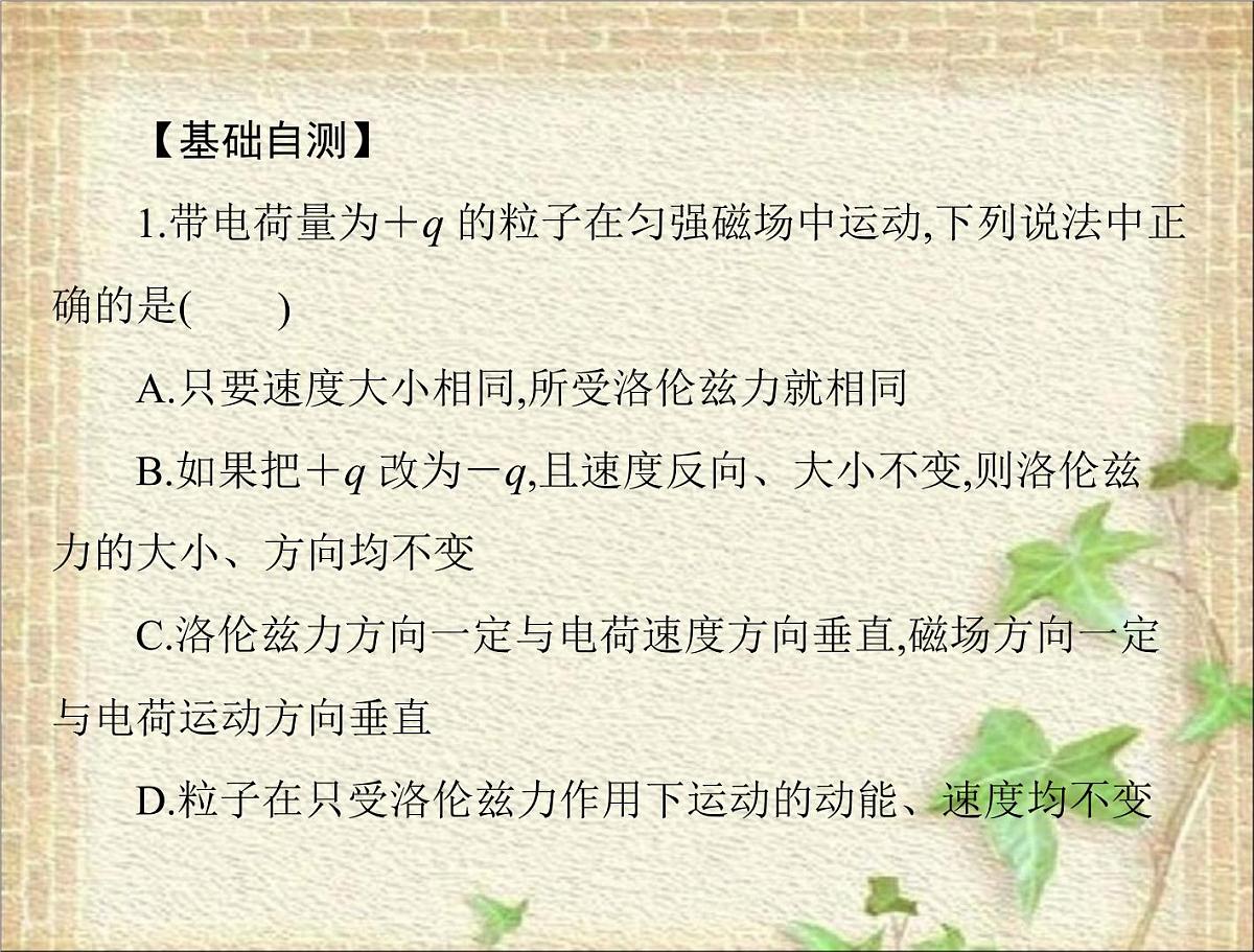 2022-2023年高考物理一轮复习 磁场对运动电荷的作用 课件第4页