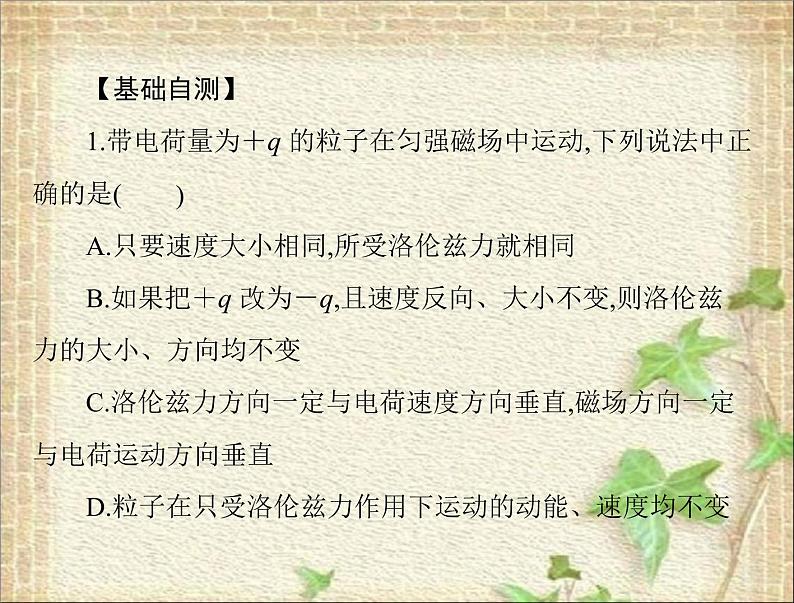 2022-2023年高考物理一轮复习 磁场对运动电荷的作用 课件04