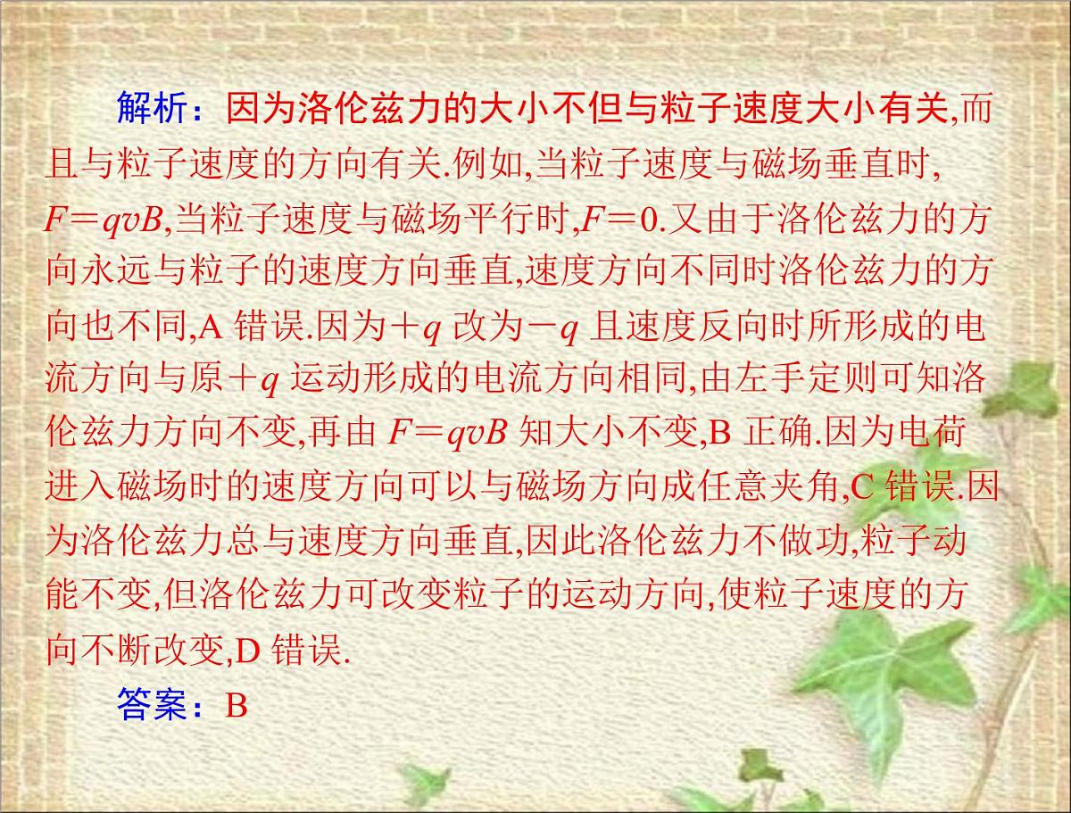 2022-2023年高考物理一轮复习 磁场对运动电荷的作用 课件第5页