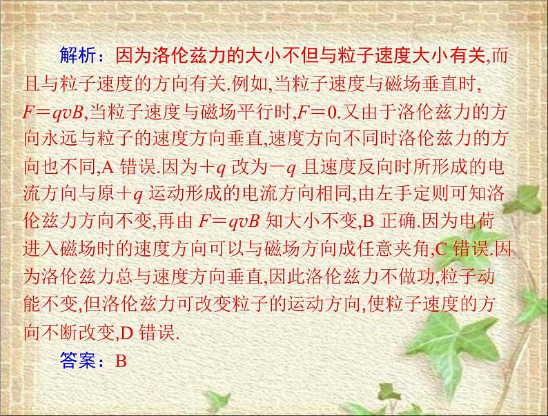 2022-2023年高考物理一轮复习 磁场对运动电荷的作用 课件05
