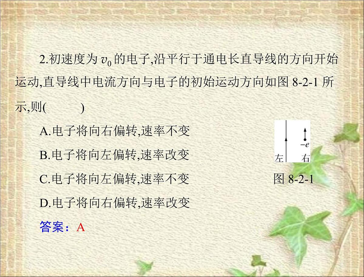 2022-2023年高考物理一轮复习 磁场对运动电荷的作用 课件第6页