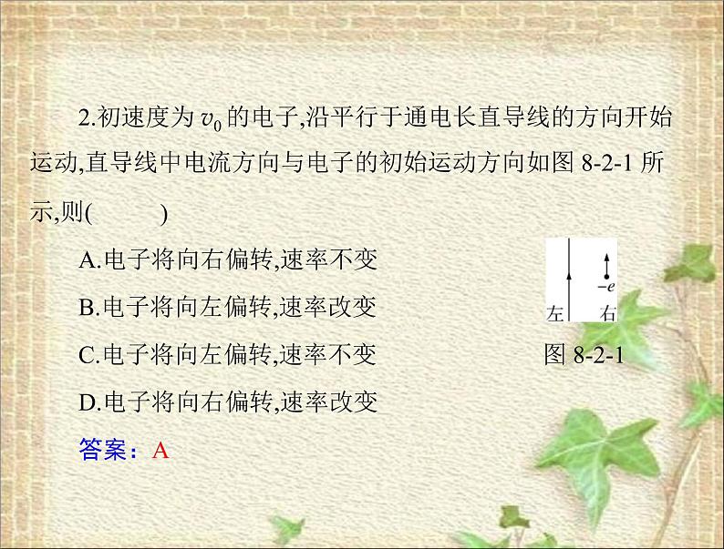 2022-2023年高考物理一轮复习 磁场对运动电荷的作用 课件06